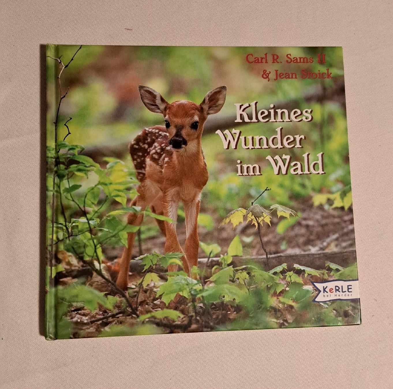 Kleines Wunder im Wald - Kinderbuch über Tiere im Wald! (Gebraucht) in