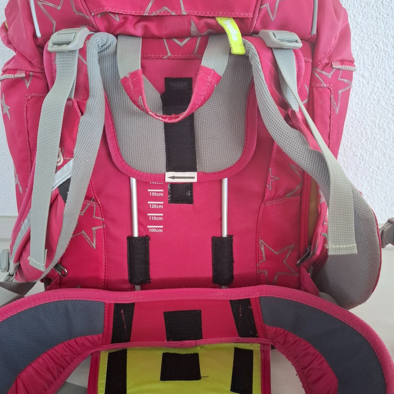 Ergobag Borse & Zaini: Ergobag Schuelthek – Usato da Schöftland venduto da mir_f9w6 1