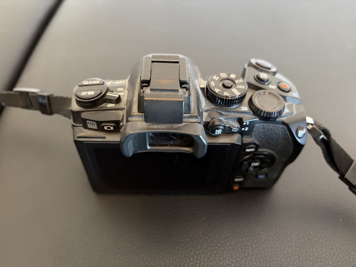 Olympus Kamera: Digitalkamera Olympus OM-D E-M1 schwarz gebraucht – Gebraucht aus Oberwil BL von bedpusher 1