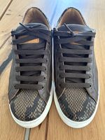 Herren Schuhe Botticelli