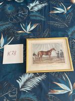 Gravure cheval