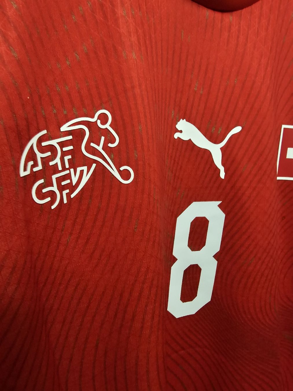 Canottiere & Pantaloni: Schweiz Spielerversion Trikot WM 2026 – Nuovo (secondo la descrizione) da Rickenbach LU venduto da LichterWelt 2