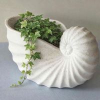 Dekorative Muschel Schale Keramik weiss stilvoll ca 20 cm