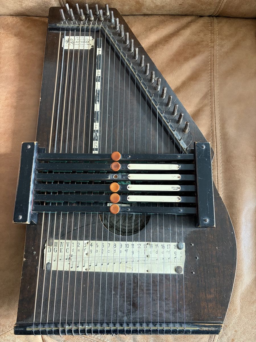 Strumenti musicali: Accord Zither von T. Meinholds – Usato da Mörschwil venduto da Phw15
