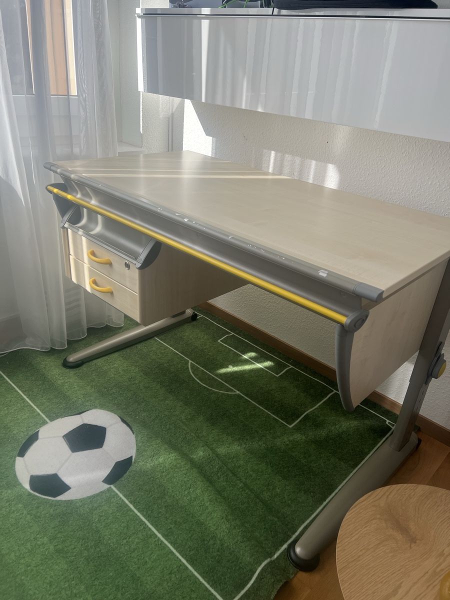 Moll Scrivanie: Moll Schreibtisch – Usato da horgen venduto da NaMu1