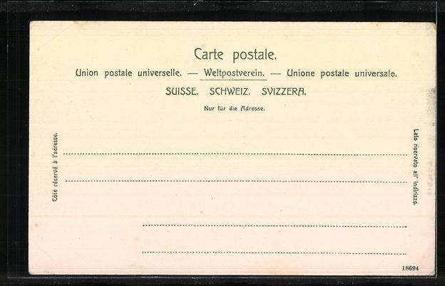 Cartoline postali: Goeschenen, Gotthardbahn mit Tunnel und  – Usato da Berlin venduto da bartko-reher 1