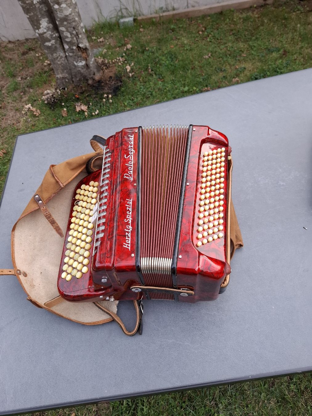 Instruments de musique: chromatique accordeon – D'occasion à Villeneuve par BibiVintage 4