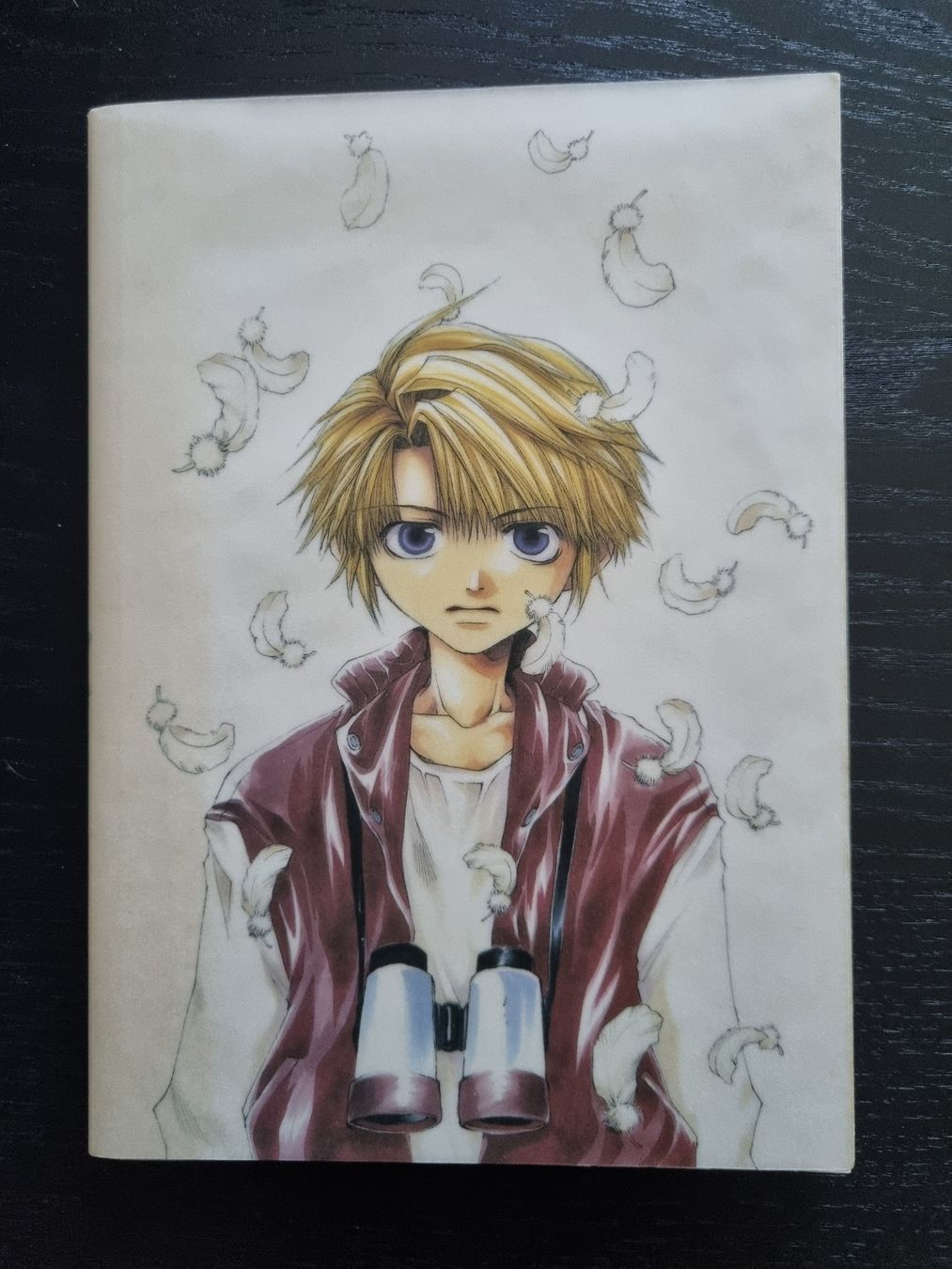 Fumetti: Stigma von Kazuya Minekura – Usato da Waltenschwil venduto da Larache90 1