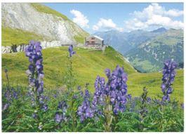 AK Martinsmadhütte ob Tschinglenalp