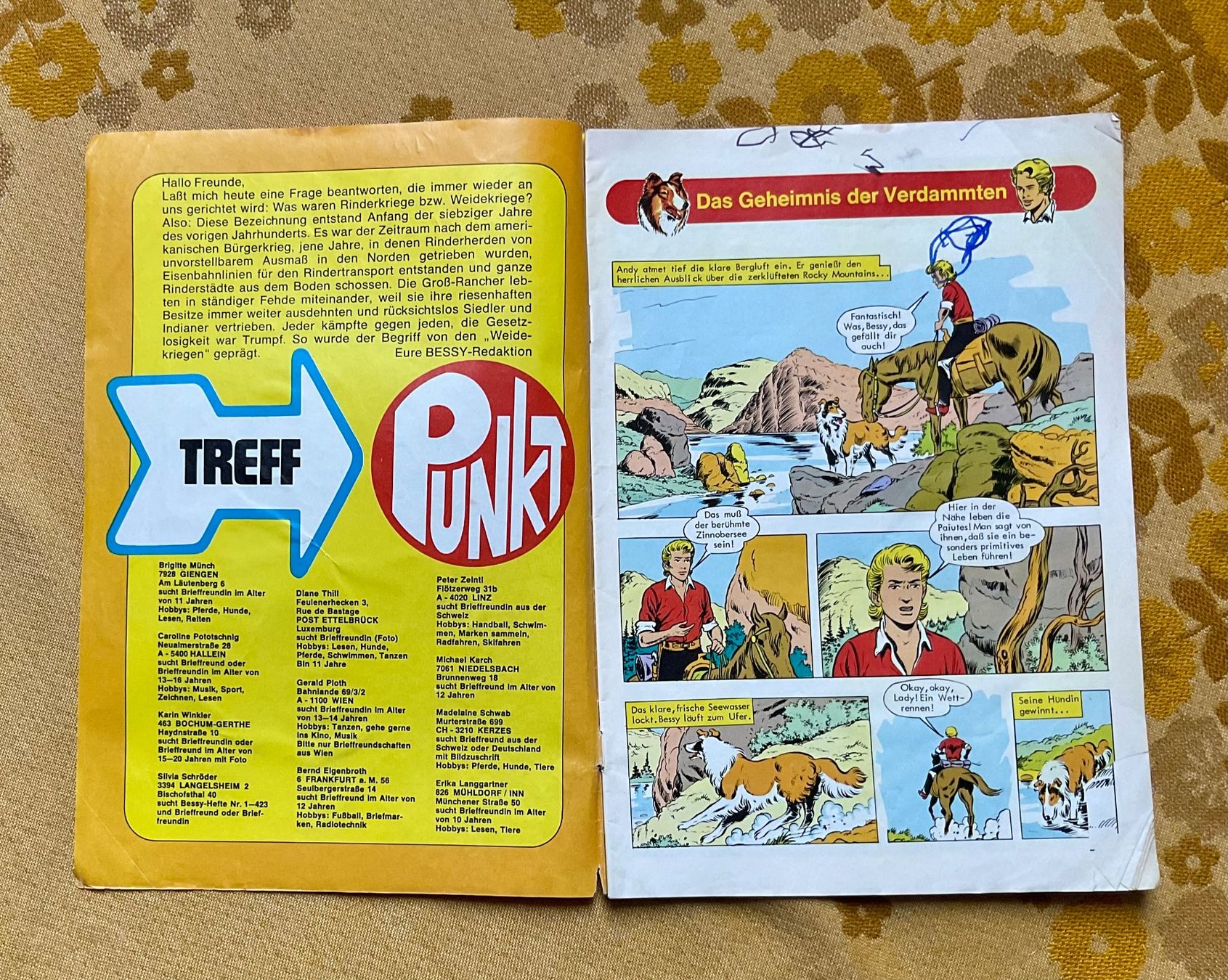 Fumetti: Bessy Heft Nr 470 von 1973 ? – Usato da Endingen venduto da nathan05 1