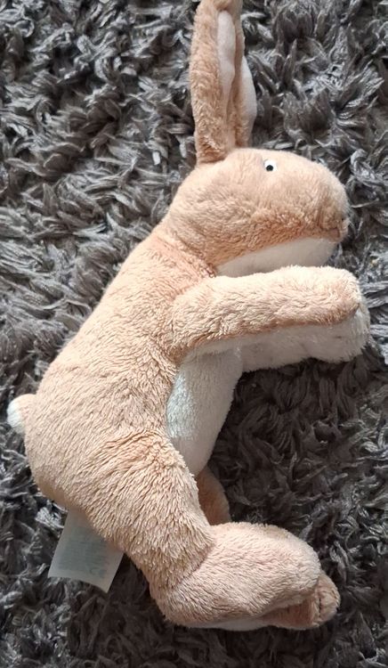 Trudi 52192 Sweet Collection Kleines Chamäleon Ca. 12 Cm, Größe XXS, Stofftier Mit Weichen Materialien Und Liebevollen Details, Plüschtier Waschbar, Kuscheltier Für Kinder & Babys, Grün/Rosa