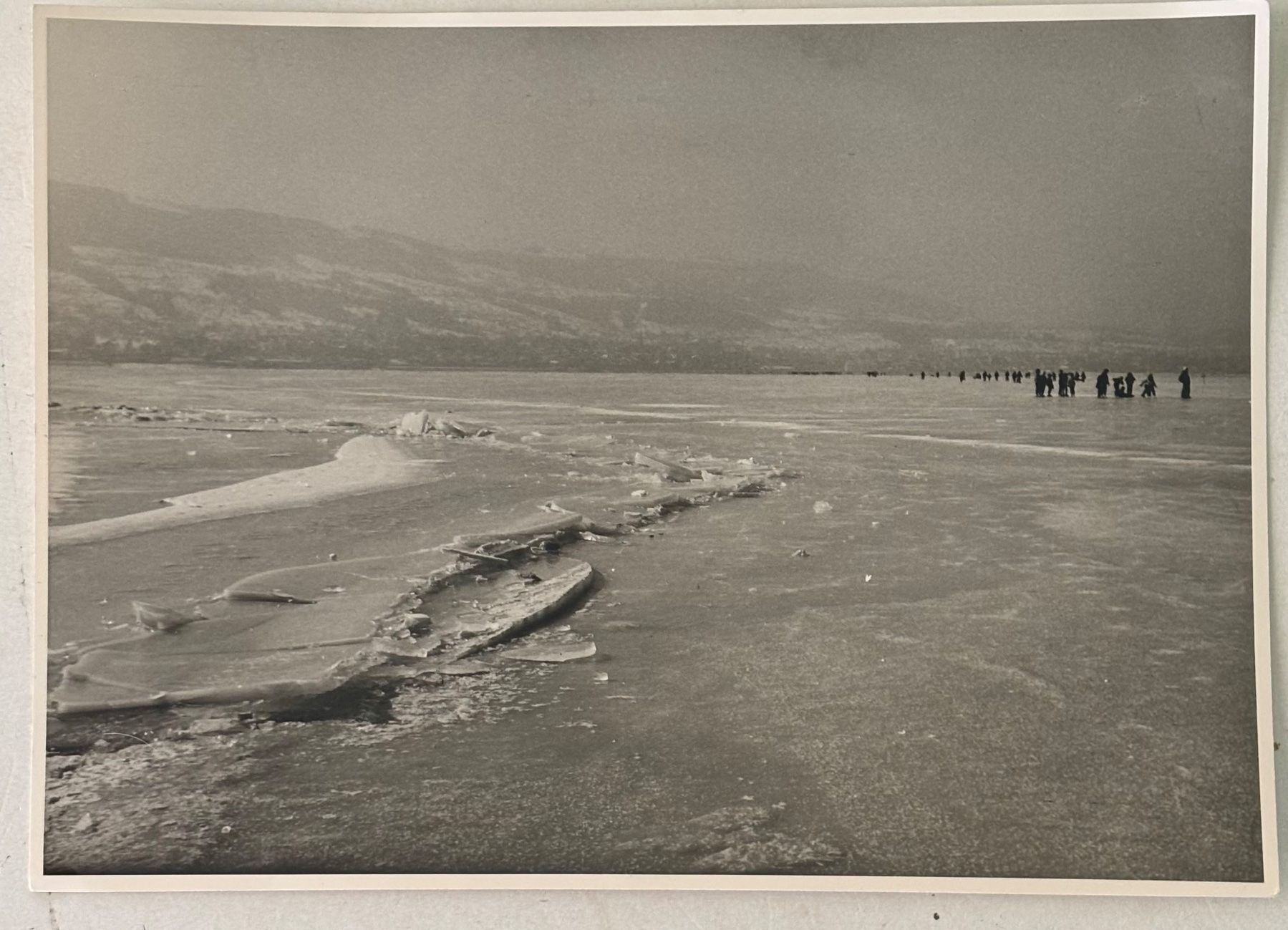 Cartoline postali: Foto E. Grubenmann, Appenzell, Seegfrörni Bodensee, 13x18 cm – Usato da Frauenfeld venduto da Merk52