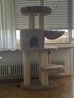 Kratzbaum Rosa Beige