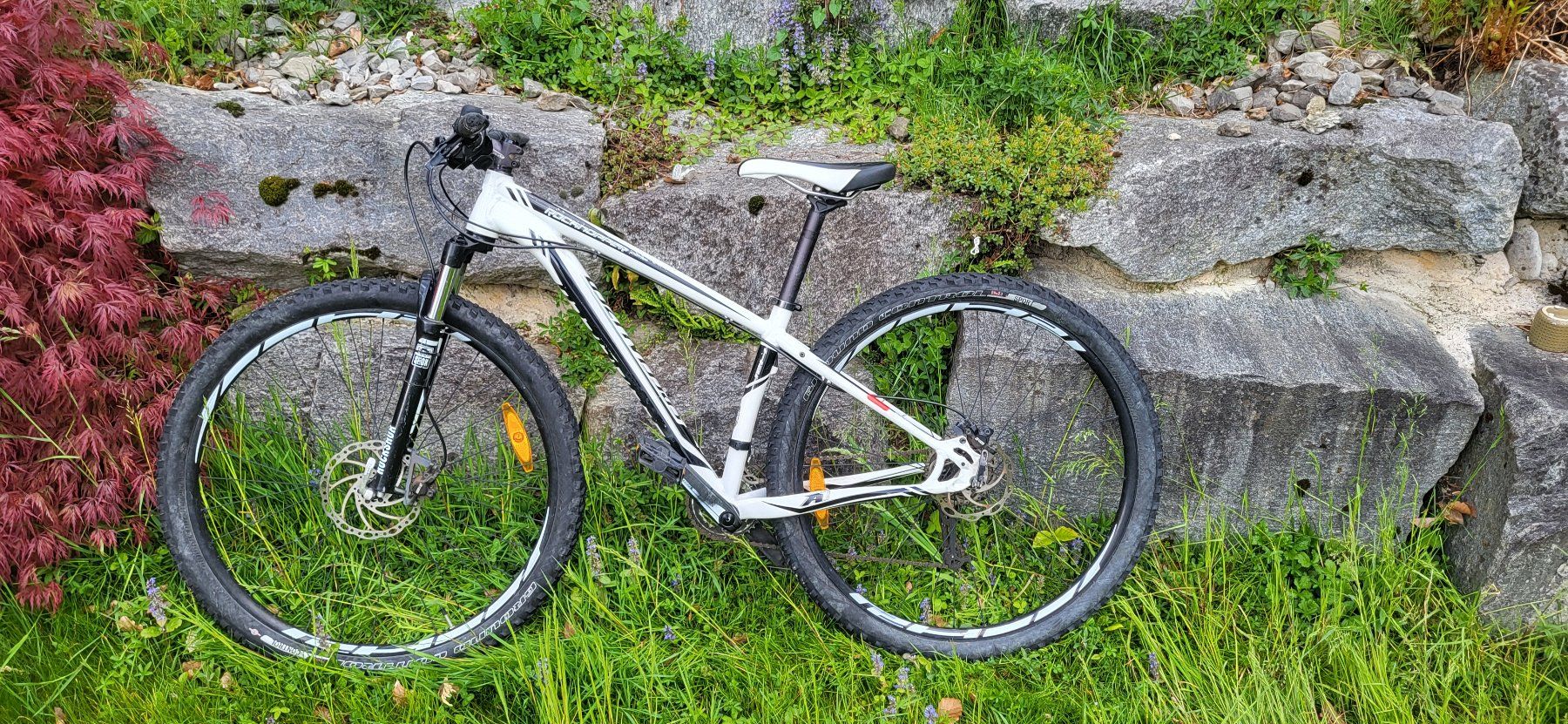 Specialized Velos: Specialized Rockhopper – Gebraucht aus Horw von  1