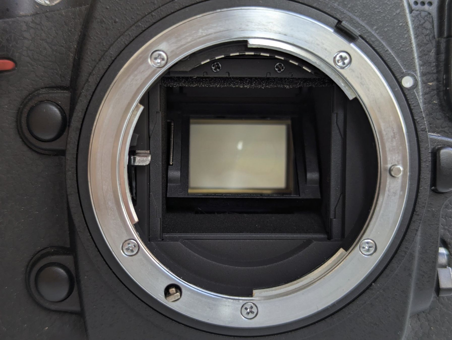 Nikon Kamera: D300s mit originalem MB-D10 Griff – Gebraucht aus Thalwil von miguev 6