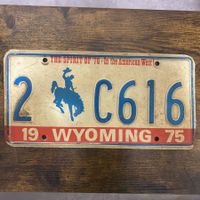 🇺🇸 1975 Vintage U.S. Autoschild - Wyoming 2-C616