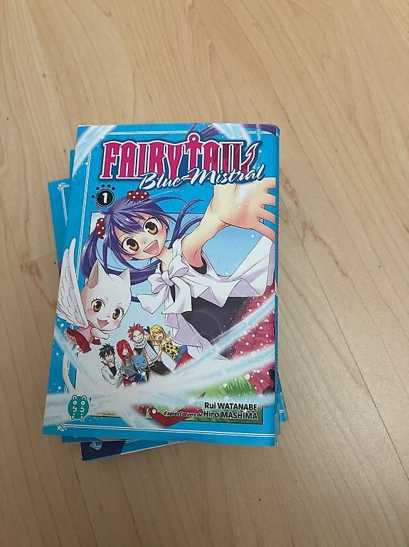 Libri: Fairytail blue mistral – Usato da Chezard-St-Martin venduto da Porschemeyery