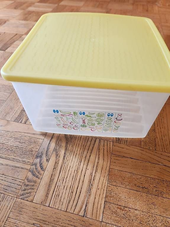 Tupperware Contenitori & Simili: Tupperware Fridge Smart 4L – Nuovo (secondo la descrizione) da Gstaad venduto da Meiel2020