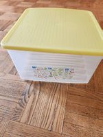 Tupperware Fridge Smart 4L