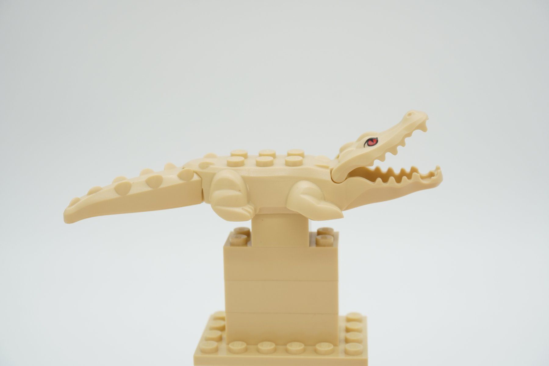 Lego Giocattoli: LEGO Alligator / Krokodil - 18904c03pb01 – Usato da Zürich venduto da PWGrZ 3