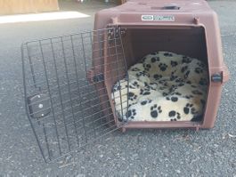 Hunde bzw Katzenbox (kleiner Hund; Katze)