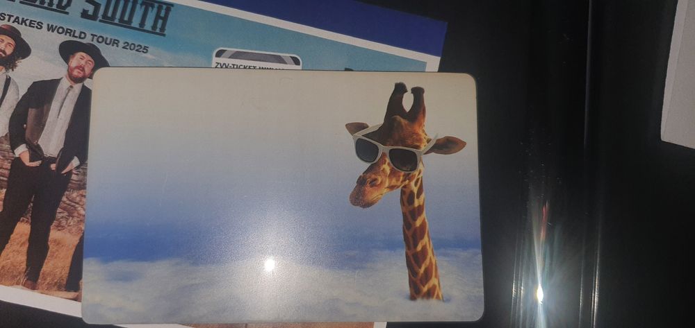 3D Bär Kühlschrankmagnet - Niedlicher Plüschmagnet Für Kühlschrank Deko