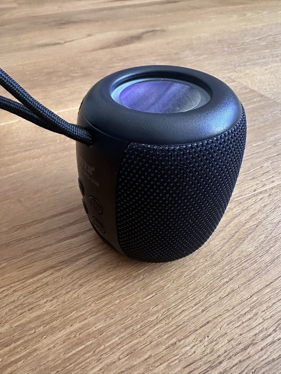 Casse acustiche: WSTER WS-309 Bluetooth Lautsprecher - Super Sound! – Nuovo (secondo la descrizione) da Schaffhausen venduto da mil_5l9l 1
