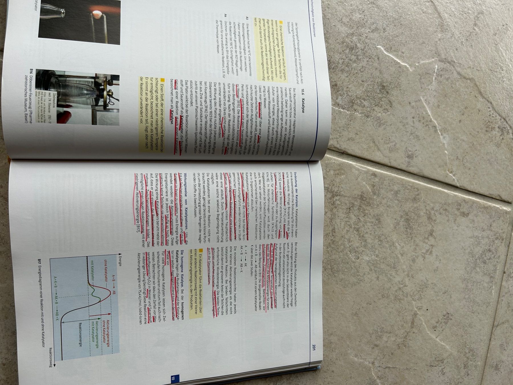 Libri: Elemente Klett und Balmer Verlag – Usato da Seuzach venduto da hsu_7nqs