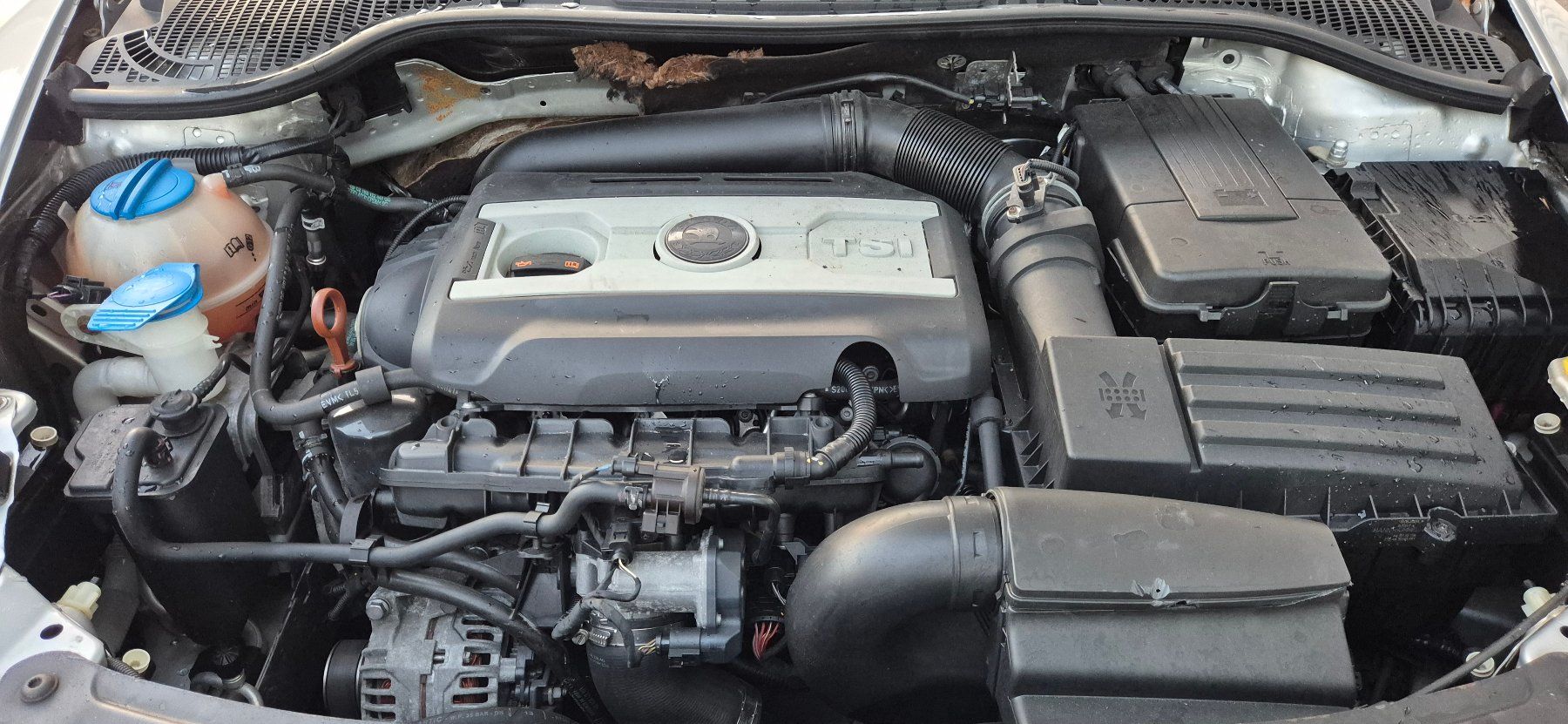 Skoda Automobili: Skoda Octavia C 1.8 4x4 – Usato da Ebnat-Kappel venduto da Speer2000 8