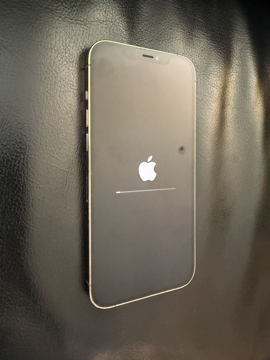 Apple Handys / Smartphones: iPhone 12 Pro Max 256Gb avec accessoires  – Gebraucht aus Colombier NE von Nikkon 1