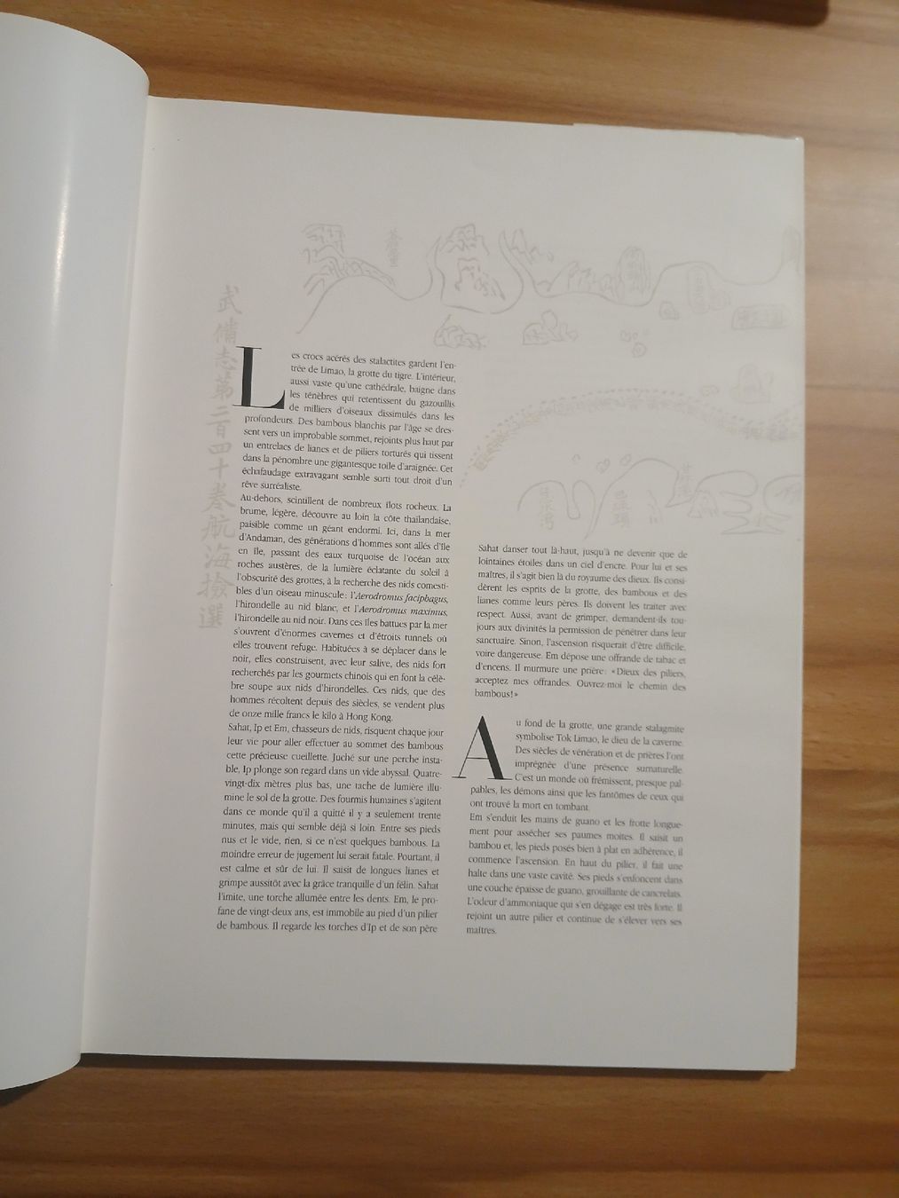 Libri: Chasseurs des Ténèbres – Usato da Le Sentier venduto da arc_2thy 2
