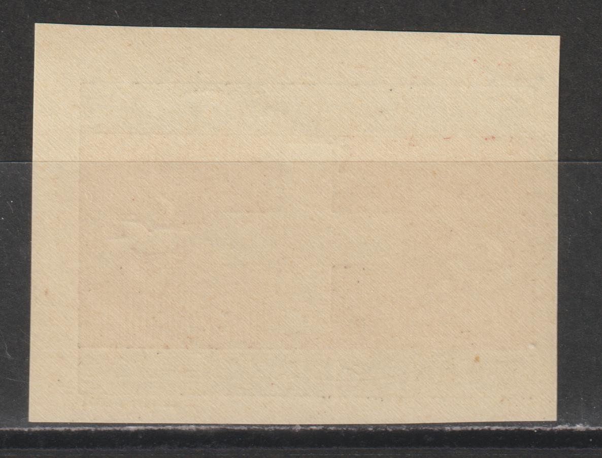 Alle Briefmarken: Brieftaubendienst Nr. 15/2 ** – Gebraucht aus Siebnen von Fstaehli 1