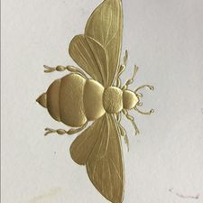 Profile image of Mirlatia