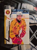 Dario Rohrbach SCL Tigers Sportzoo 2024/25