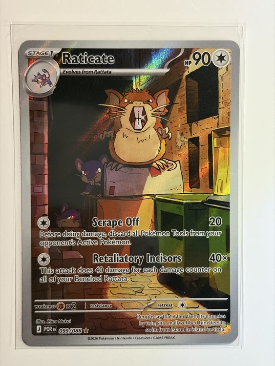 Pokemon Karte Perfect Order Raticate EN 099/088 (Gebraucht) in Galgenen ...