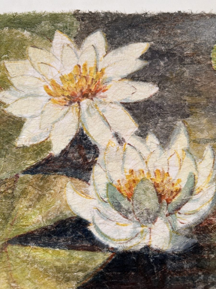 Dipinti: Heinz Vogel, Aquarell, Seerosen. – Usato da Biberist venduto da Momo33 1