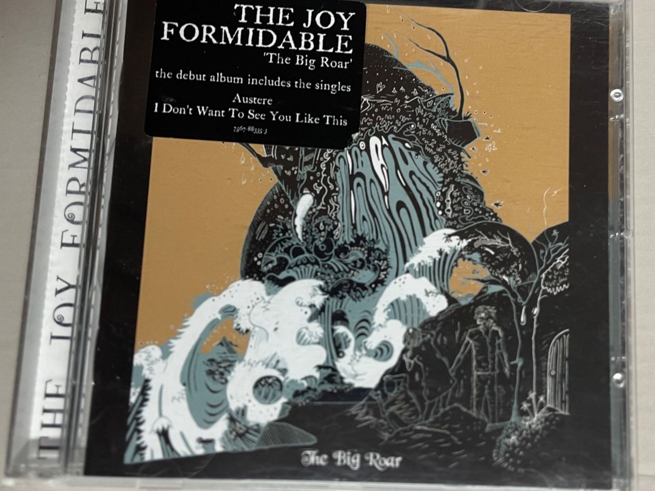 CDs: The Joy Formidable – Gebraucht aus Muri b. Bern von AdidasCollector 4