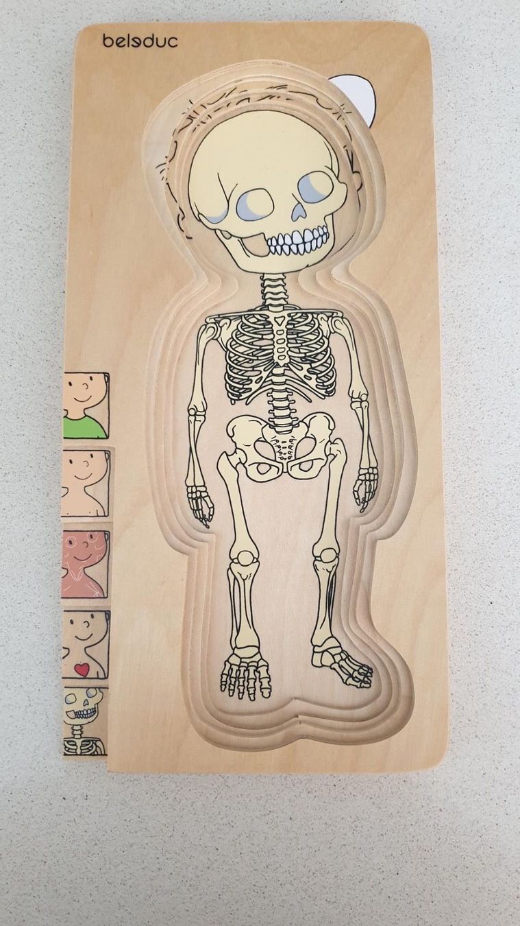 Puzzle: Puzzle Body/ Jungen – Usato da Würenlos venduto da JRP_71 5