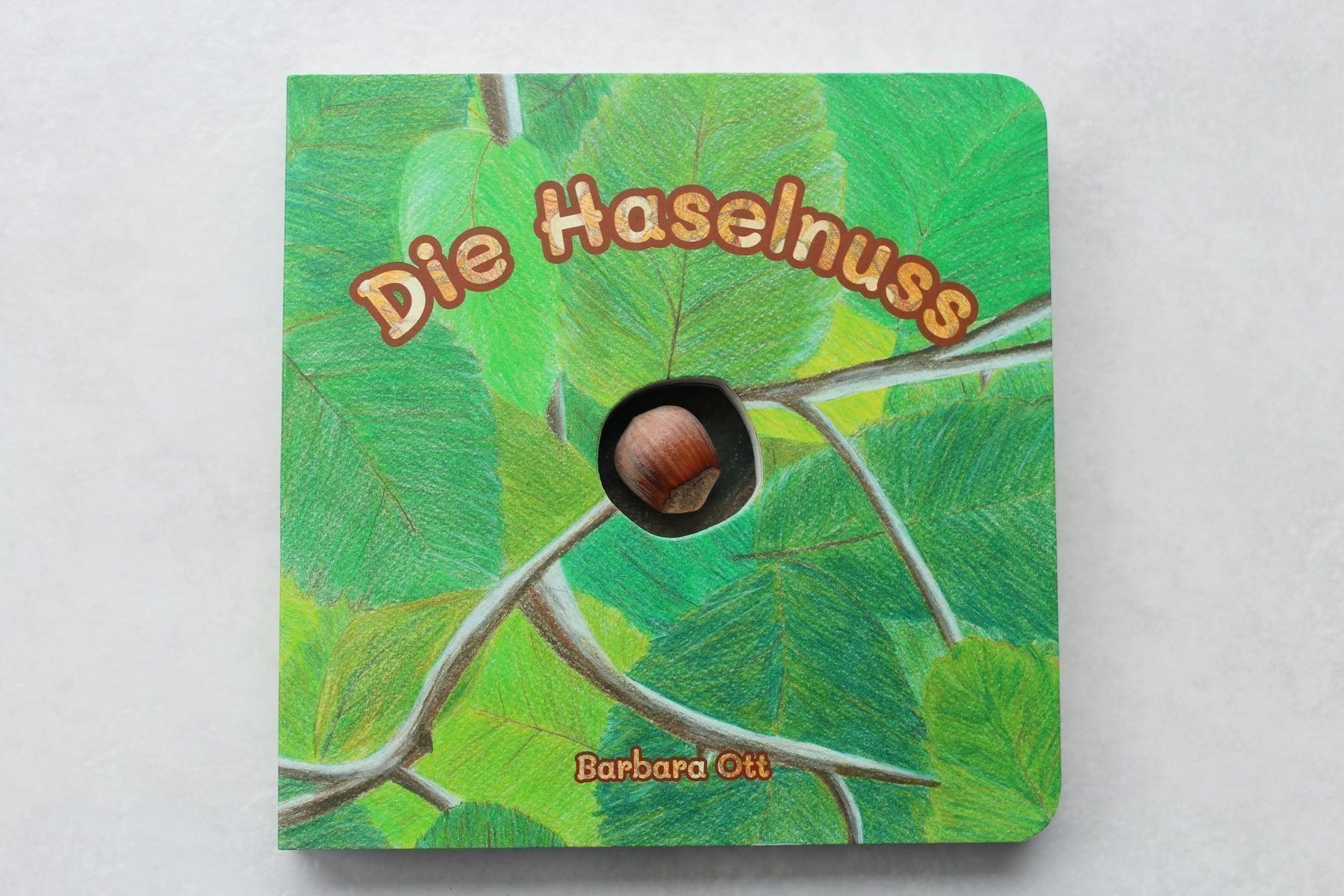 Libri: Kinderbuch "Die Haselnuss" – Nuovo e nell'imballaggio originale da Bürglen UR venduto da iigelti