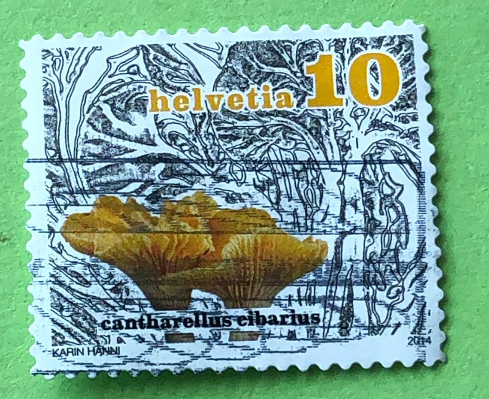 Tutti i francobolli: Nr.1503 Dauermarken Pilze GESTEMPELT 2014  – Usato da Aarau venduto da Billa007