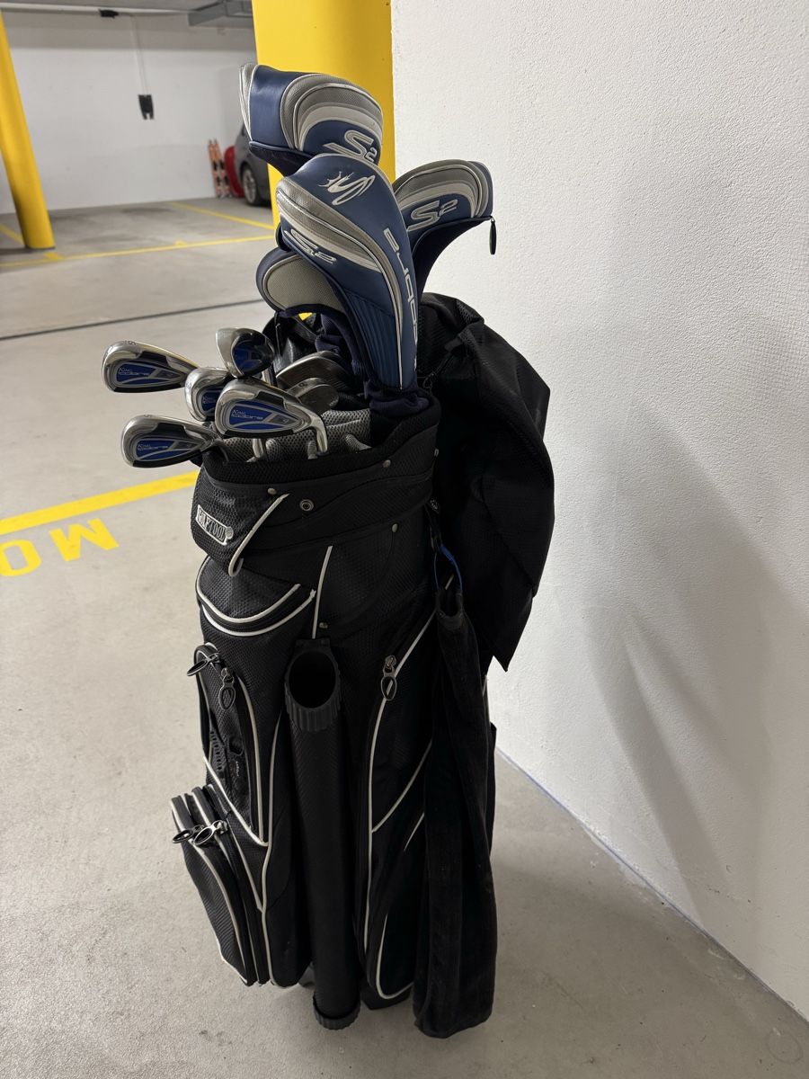 Mazze & Set: Golf Clubs Cobra – Usato da Walchwil venduto da eve_5bx9 5