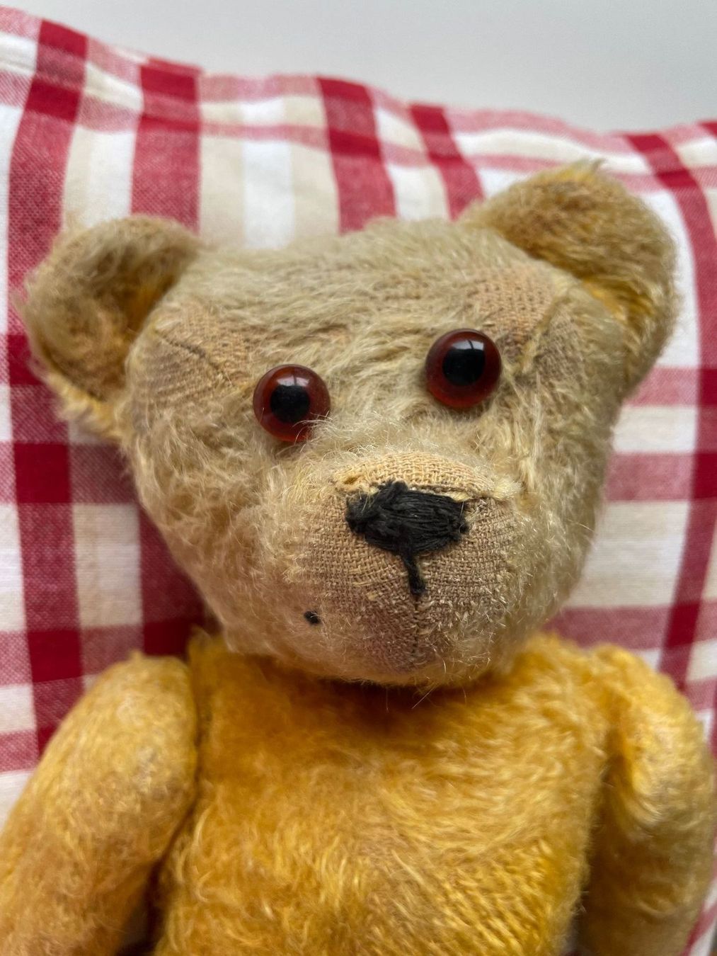 Giocattoli: Teddybär aus Urgrossmutters Zeit – Usato da Hausen am Albis venduto da Werk3 1