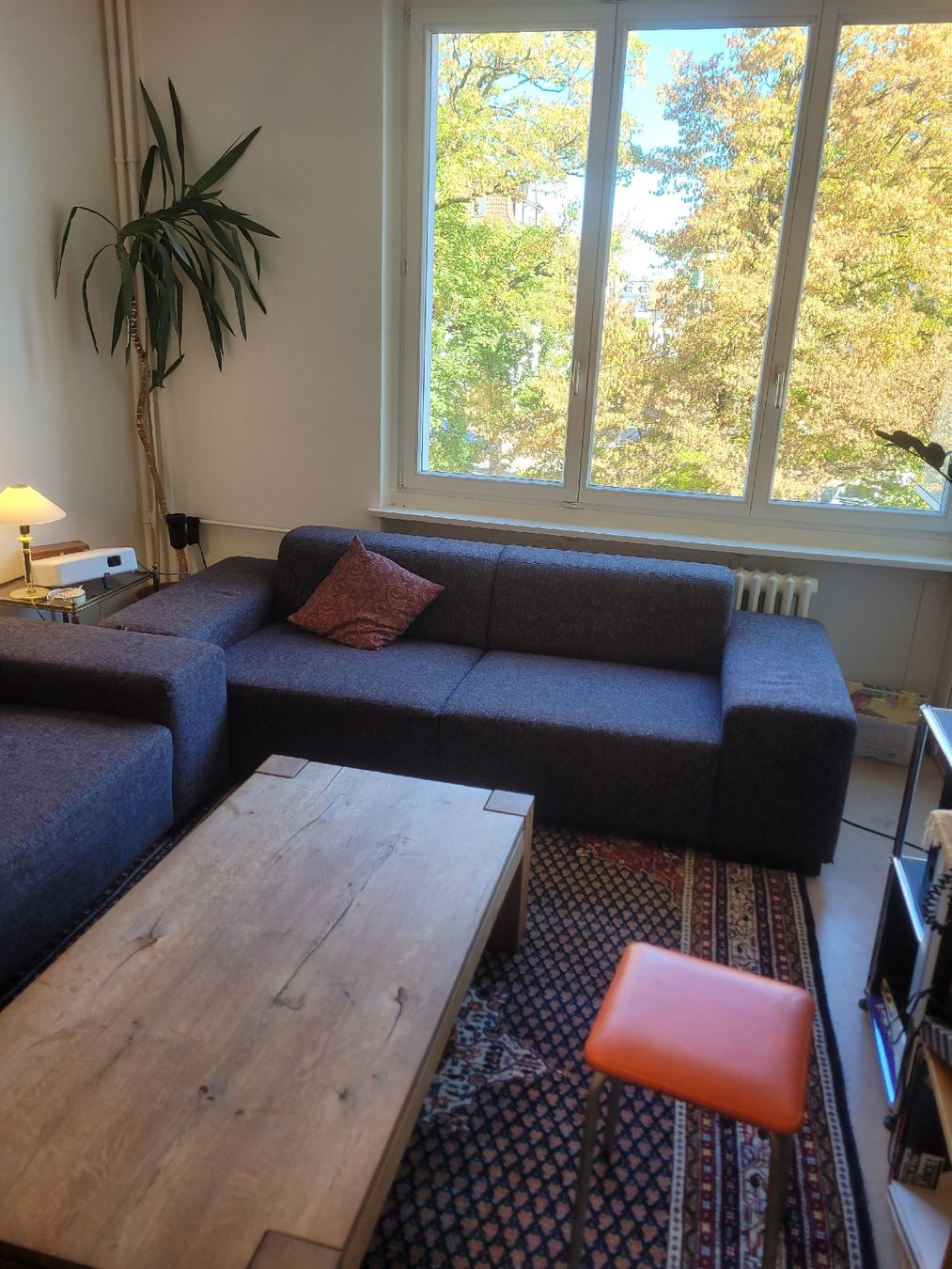 Divani: 2 moderne Sofas in Dunkelgrau, sehr bequem – Usato da Zürich venduto da Nicolas8003 3