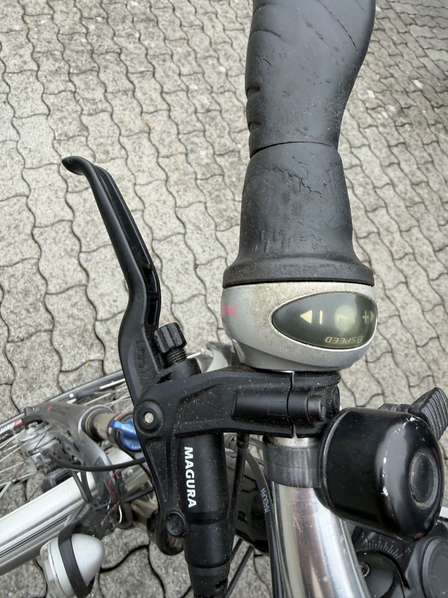 Flyer Biciclette: E-Bike Flyer – Usato da Willisau venduto da Pirminrand 3