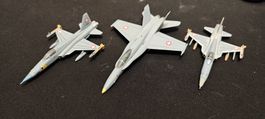 2x Tiger und 1x F/A 18, CH Armee