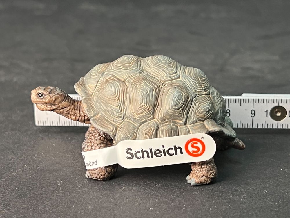 SCHLEICH Wild Life Figuren Set: Känguru & Riesenschildkröte – Realistische Spieltiere Für Kinder Ab 3 Jahren