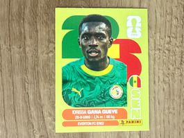Panini FIFA World Cup 2026 Sticker Idrissa Gana Gueye SEN 9