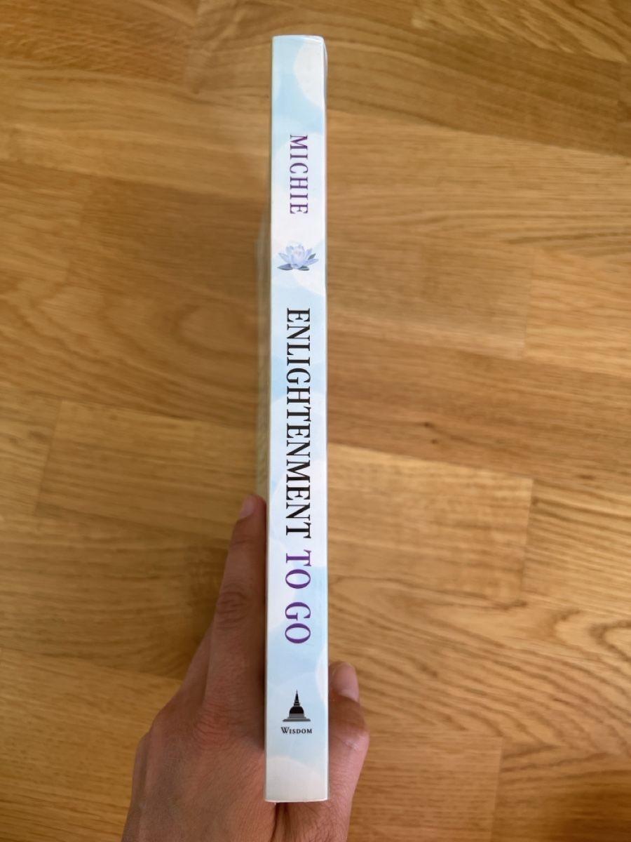 Libri: Enlightenment To Go, David Michie – Usato da Basel venduto da clembou 3