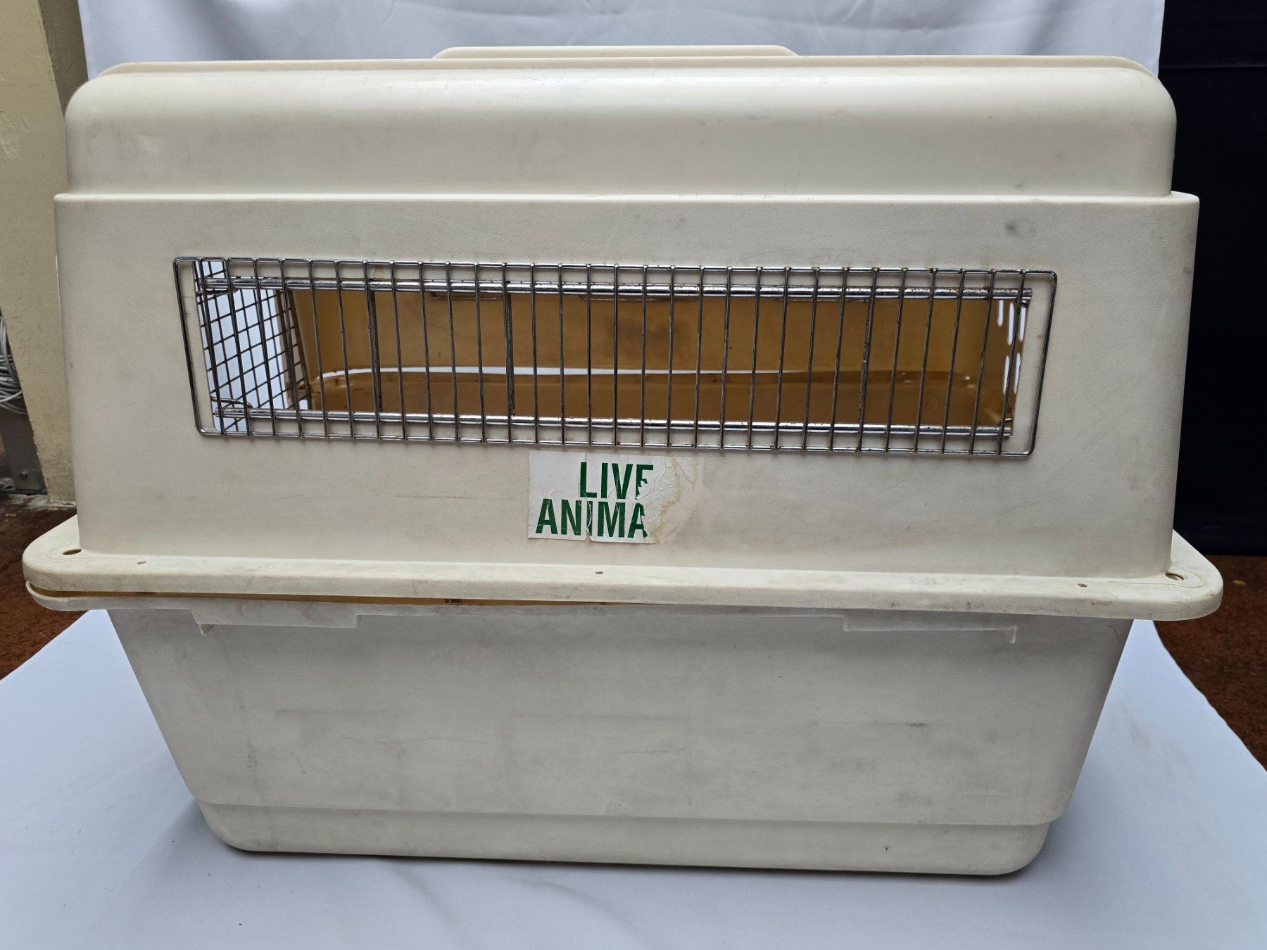 Käfige, Transport & Sicherheit: Hundetransportbox – Gebraucht aus Wetzikon ZH von Inhes1 3