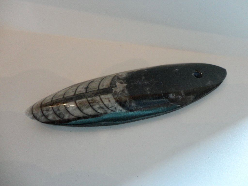 Fossili: Orthoceras Anhänger mit Lederkordel – Nuovo (secondo la descrizione) da Biberist venduto da tl-schmuck 1